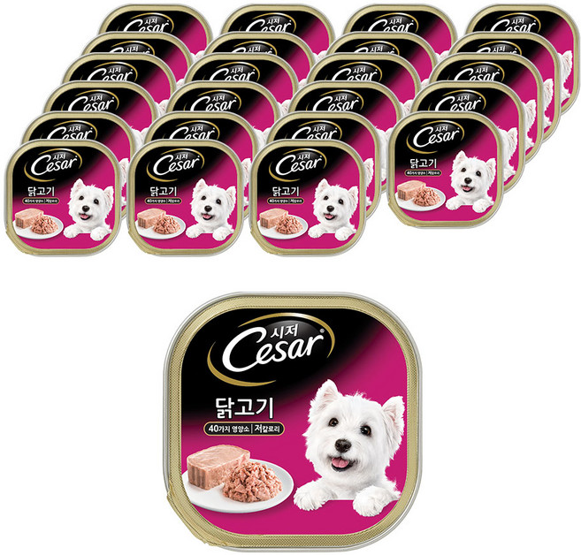 시저 1세 이상 강아지 주식캔, 닭, 100g, 24개