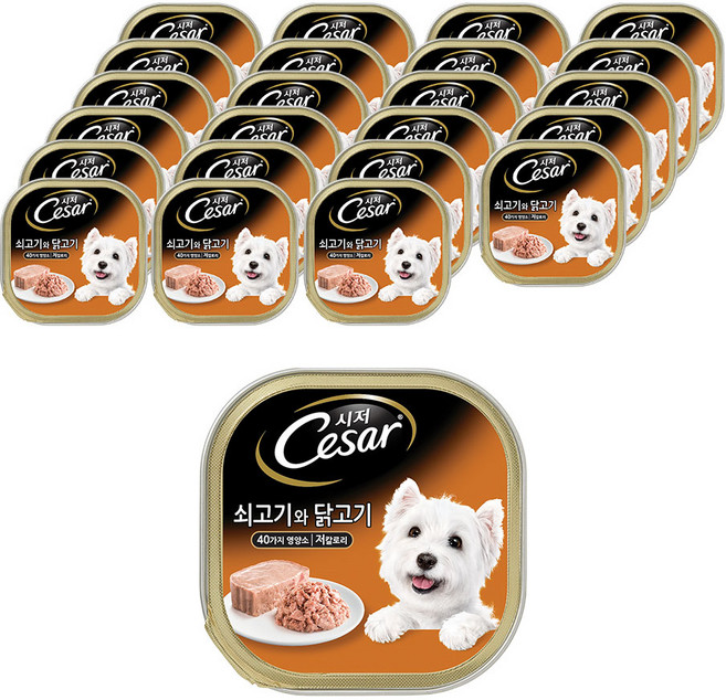 시저 1세 이상 강아지 주식캔, 소+닭, 100g, 24개