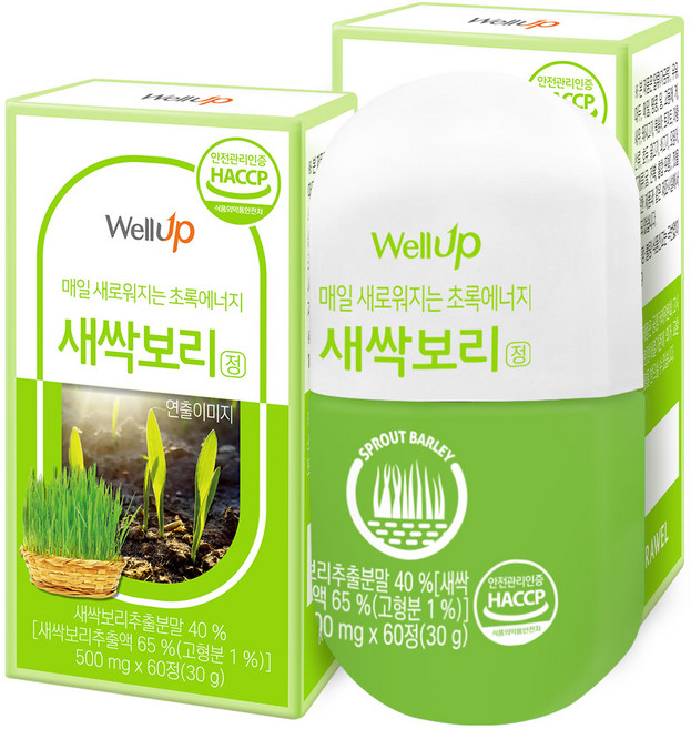 로엘 웰업 추출분말 새싹보리정, 60정, 2개