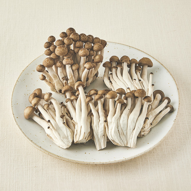 국내산 무농약 손질된 갈색 만가닥버섯, 300g, 1개
