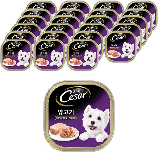시저 1세 이상 강아지 주식캔, 양, 100g, 24개