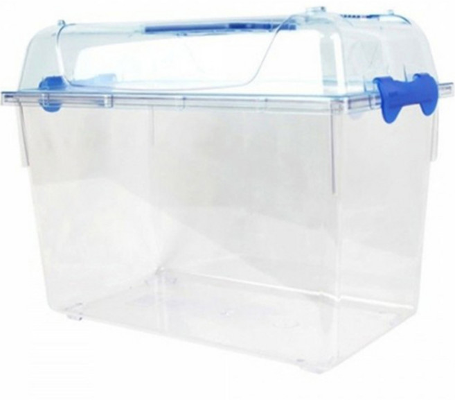 와이피 클린 곤충 채집통 L, 혼합색상, 1개