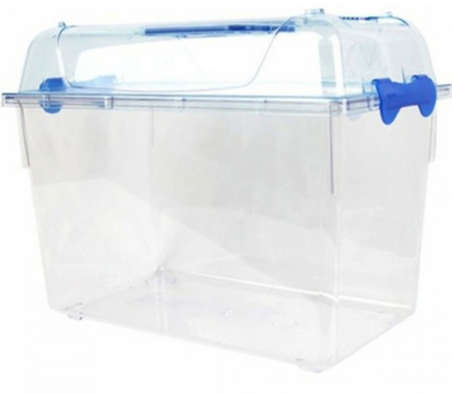 와이피 클린 곤충 채집통 XL, 혼합색상, 1개