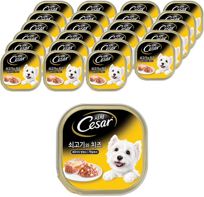 시저 1세 이상 강아지 주식캔, 소+치즈, 100g, 24개