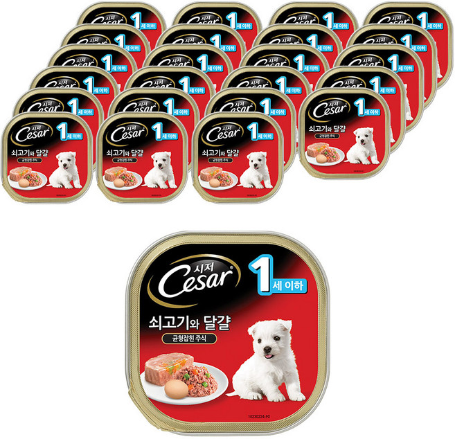 시저 1세 이하 강아지 주식캔, 소+달걀, 100g, 24개