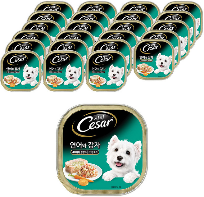 시저 1세 이상 강아지 주식캔, 연어+감자, 100g, 24개