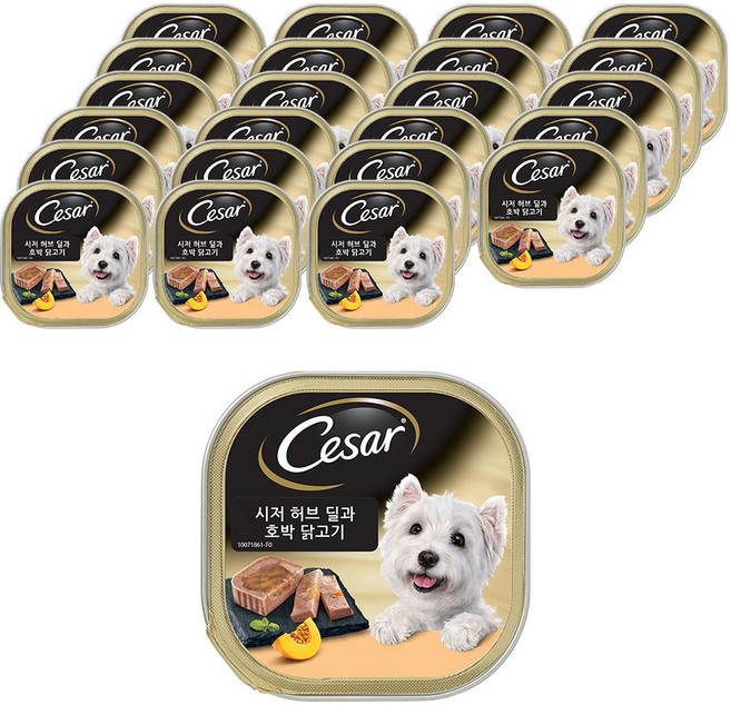 시저 1세 이상 강아지 주식캔, 닭+호박, 100g, 24개