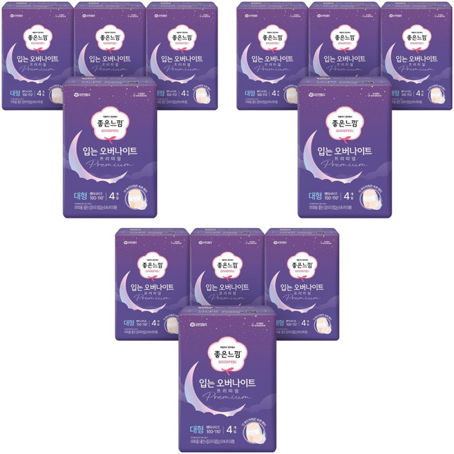 좋은느낌 프리미엄 입는 오버나이트, 대형, 4개입, 12개