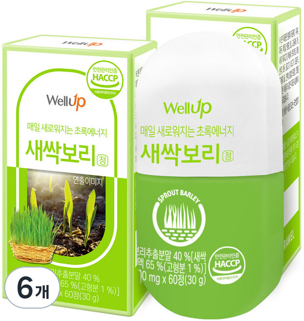 로엘 웰업 추출분말 새싹보리정, 60정, 6개