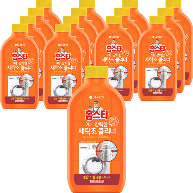 홈스타 퍼펙트 세탁조 클리너, 450ml, 15개