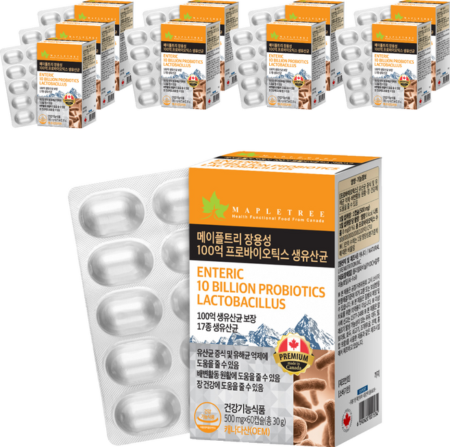 메이플트리 장용성 100억 프로바이오틱스 생유산균, 10개, 60정