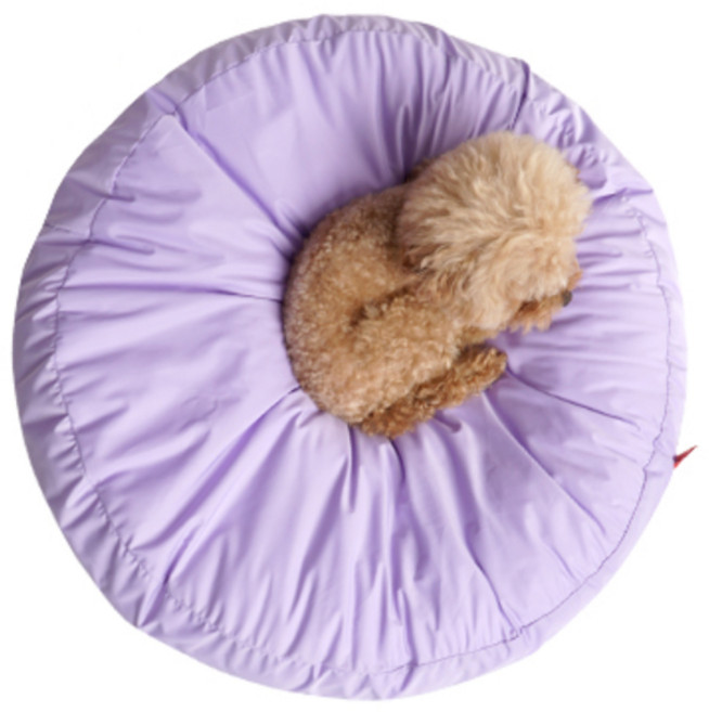 퍼피엔젤 쏘오옥 쿠션 쿨링 메모리 커버 PA-BV189, 520 PP, 1개