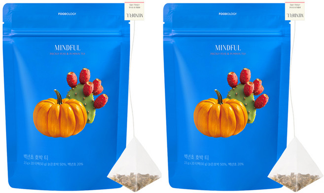 푸드올로지 마인드풀 백년초 호박 삼각티백, 2.5g, 20개입, 2개