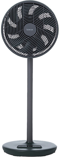 보국전자 BLDC써큘레이터 제로팬 BKF-21, BKF-21G30DC(카밍그린)