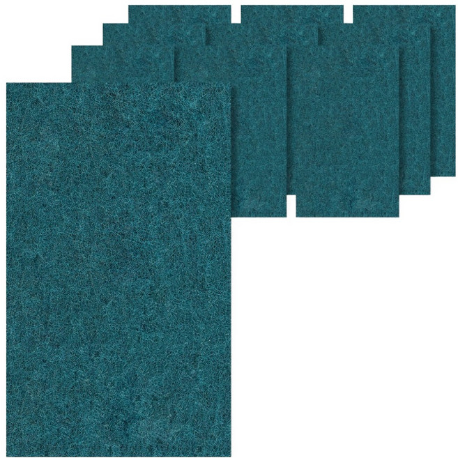 청소해결사 다목적 청수세미, 10개입, 1개