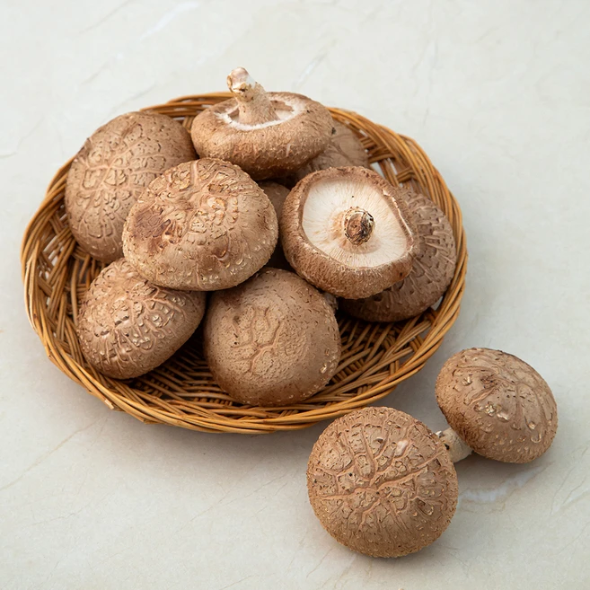 표고버섯, 200g, 1개 - 쿠팡