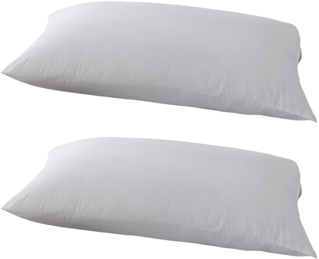 Ishur 伊舒爾 3M吸濕排汗水洗枕, 2個