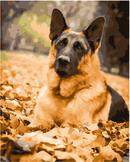 ArtLife 藝術生活 數字油畫DIY DT181 50 x 40cm, 等待的秋天, 1個