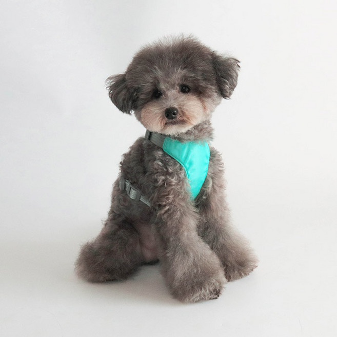 딩동펫 강아지 마카롱 통풍 메쉬 하네스, 민트, 1