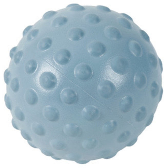 아이워너 미니 마사지 짐볼, 더스티블루