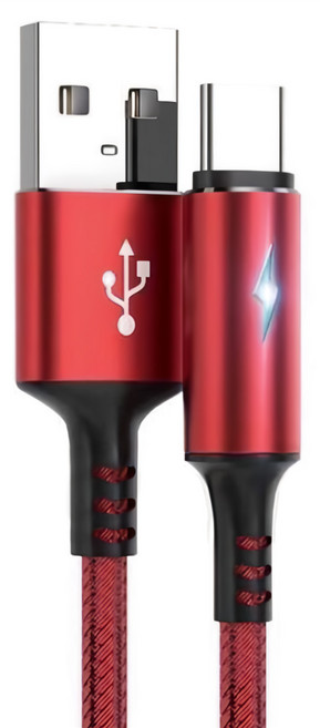 Cxin 宸欣 閃電極速傳輸充電線 CX-M16 線長120cm 顏色隨機, 120cm, 紅色, 1組
