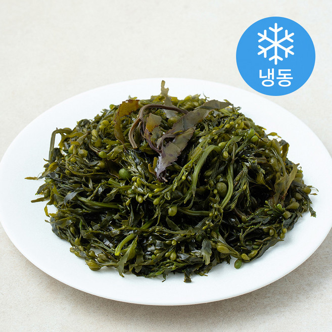팜조아 국내산 모자반 (냉동), 1개, 200g