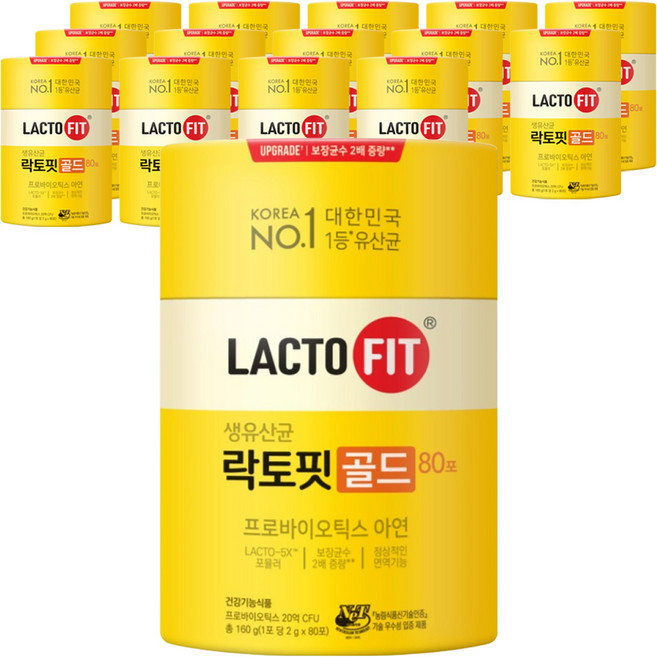 락토핏 정품 골드 80포, 15개