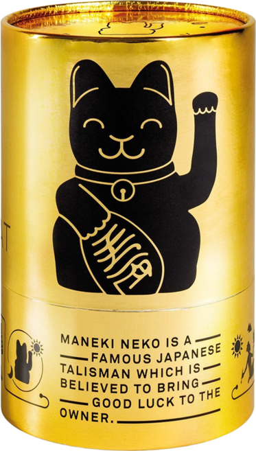 DONKEY MANEKI NEKO 幸運繽紛招財貓, 亮黑色