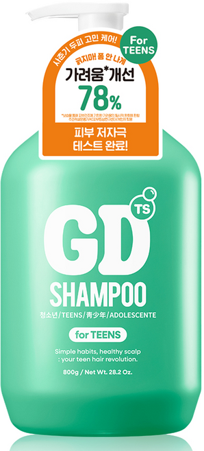 TS 지디 샴푸 빅, 800g, 1개