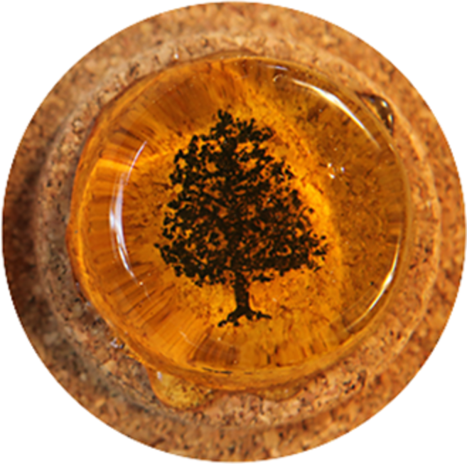 멜로스 송진 바이올린 퍼니, 혼합색상, 1개