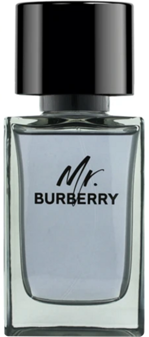 BURBERRY 巴寶莉 台灣公司貨 Mr. Burberry 男性淡香水, 100ml, 1個