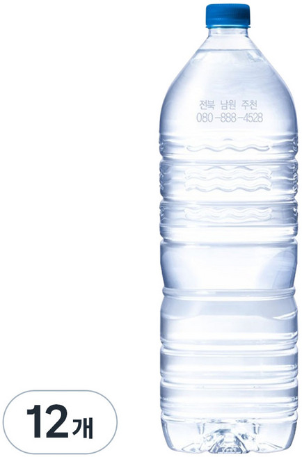 웅진 깊을수록 무라벨, 2L, 12개