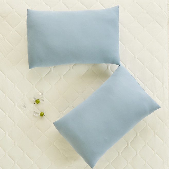 베네베딩 쿨쿨 쿨넥사 빨아쓰는 여름 냉감 모찌 베개 2p, 블루그레이