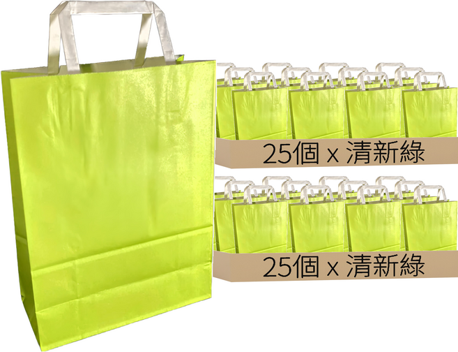 馬卡龍牛皮紙袋 扁繩提袋 210x275x90mm 超厚120p 清新綠, 50個
