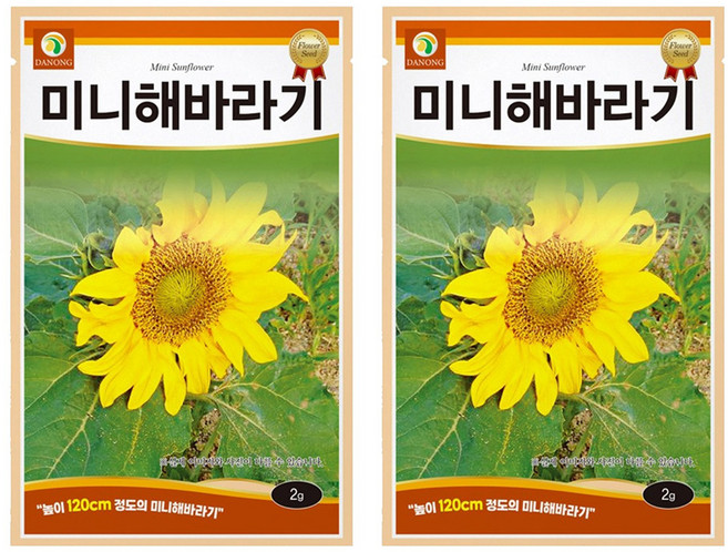 다농 미니 해바라기 씨앗 2g, 2개