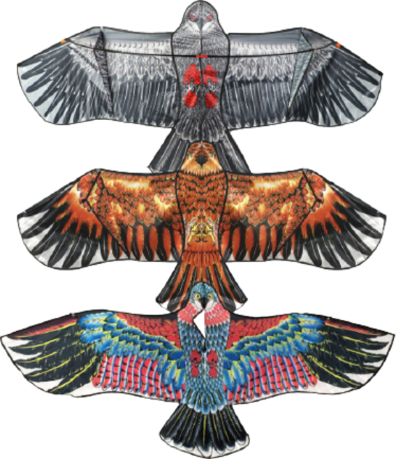 독수리연 연날리기 3종 세트, 1세트