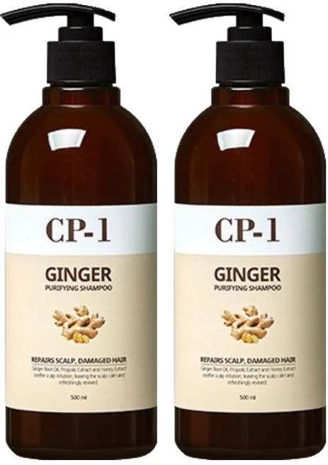 씨피원 진저 퓨리파잉 샴푸, 500ml, 2개 - 쿠팡