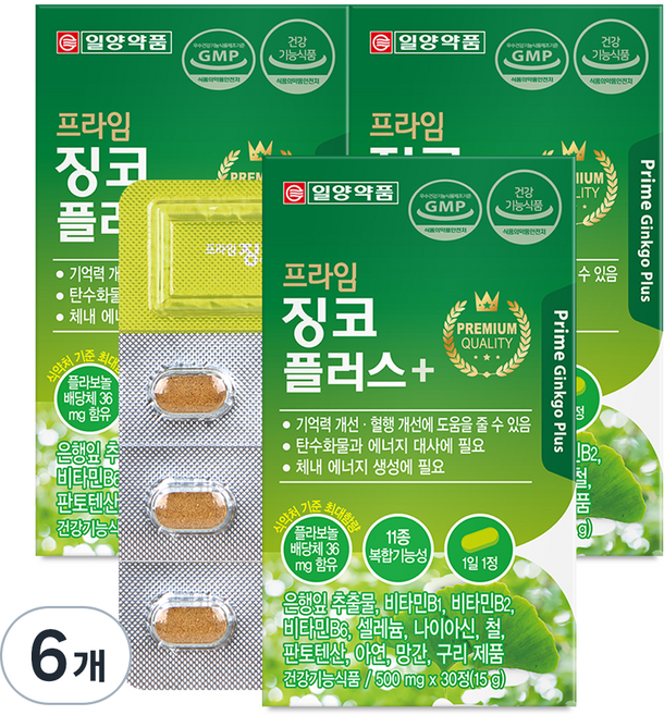 일양약품 프라임 징코 플러스, 30정, 6개
