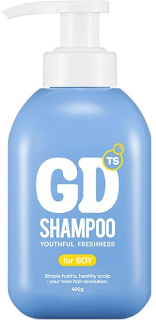 TS 지디 샴푸 포보이, 400g, 1개