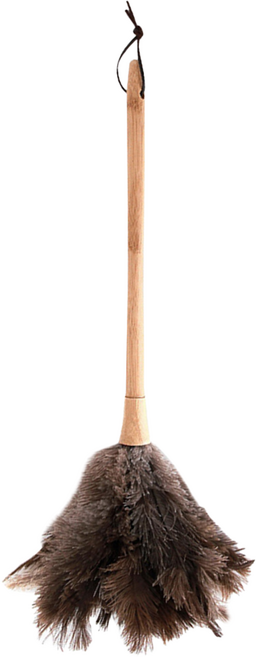 NATURE LIVING 鴕鳥羽毛除塵撢子 木柄, 棕色, 1支