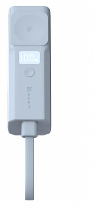 ADAM elements 亞果元素 5合1口袋型行動電源 5000mAh, 藍色, VIONTA P5 Pro