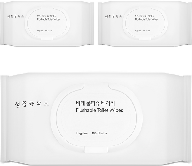 생활공작소 베이직 비데 물티슈 캡형, 100매, 3개