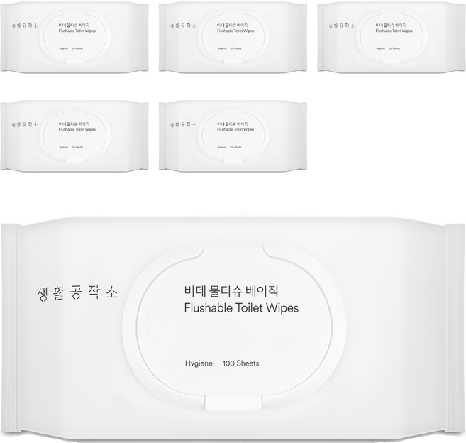 생활공작소 베이직 비데 물티슈 캡형, 100매, 6개