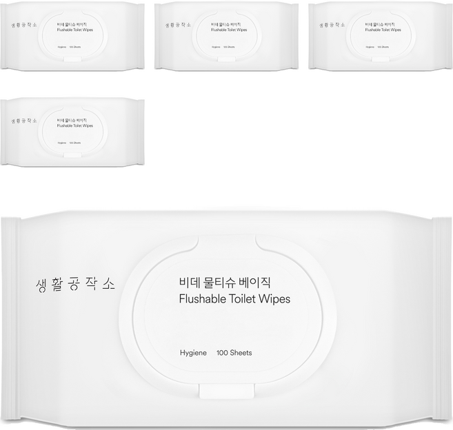 생활공작소 베이직 비데 물티슈 캡형, 100매, 5개