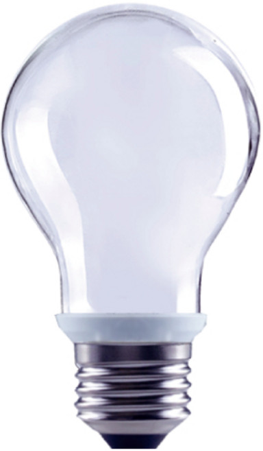 Luxtek 樂施達客 LED燈泡 A19F 6W E27 F65 33g, 冷白光, 1個