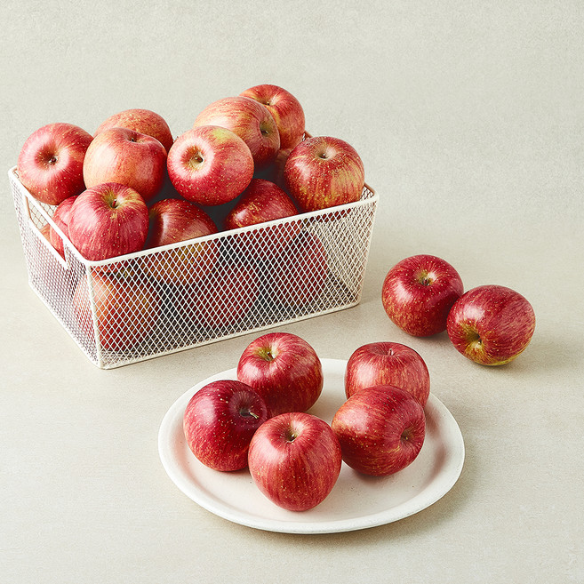 곰곰 소백산 못생겨도 맛있는 사과, 1개, 5kg(소과, 25~34입)