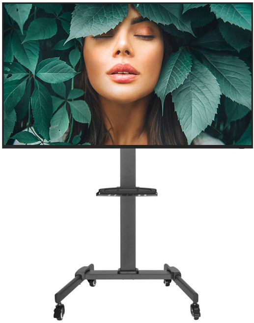 카멜 4K UHD 광고용 디지털 사이니지 모니터 + 스탠드 거치대 세트 방문설치, 139.7cm, 모니터(CDS5220), 스탠드(ASB55)