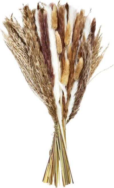 Goyo 乾燥花 CH-041 220g, 杏色