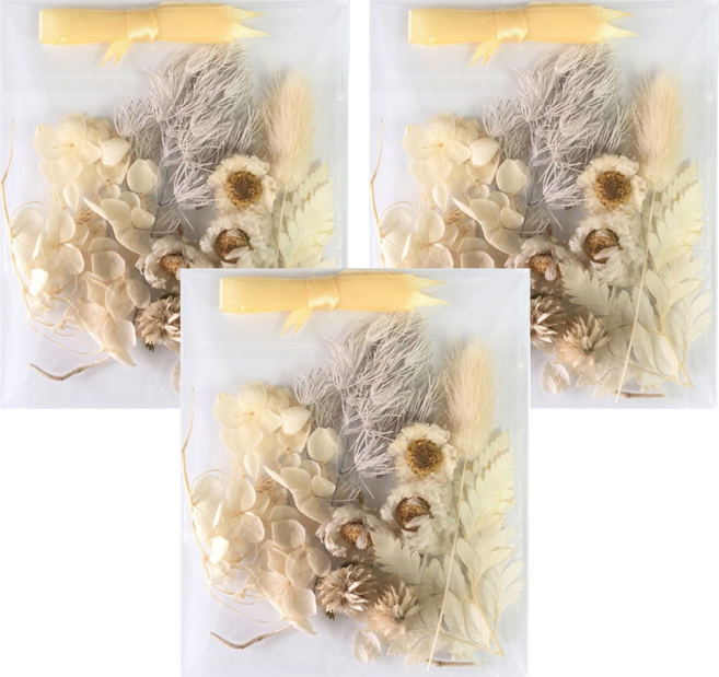 A-ONE 匯旺 浮游花DIY花材包 綜合乾燥花 悠白晨曦 金色 10g 3個