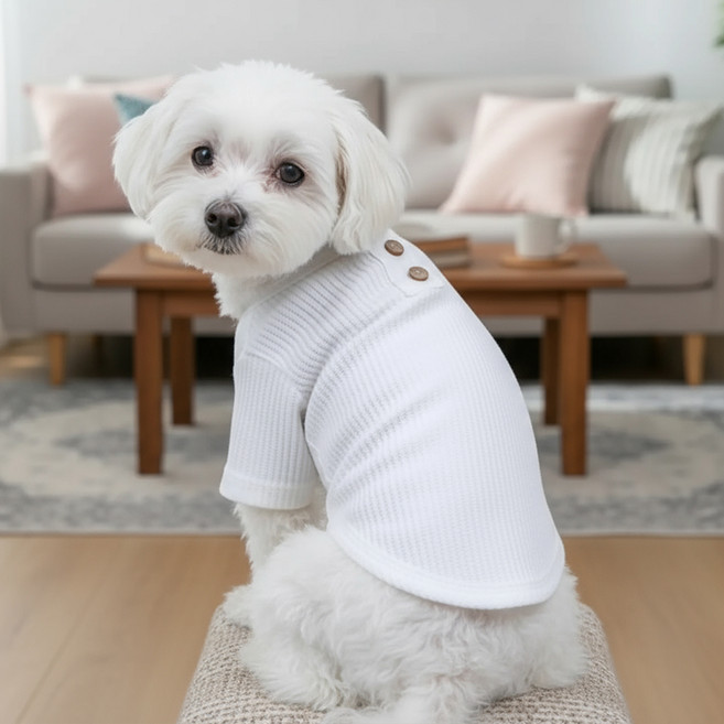 쁘띠도그 골지단추티 DT028, 화이트, 1개